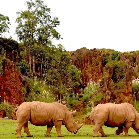 Casita Con Preciosas Vistas A La Montana Apartment