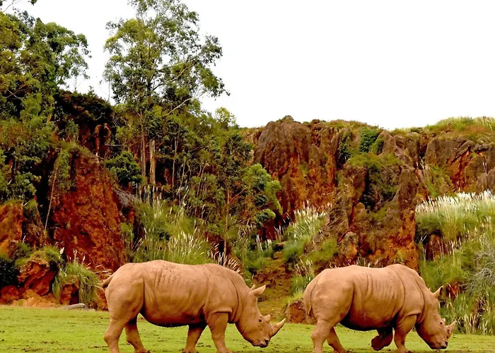 Casita Con Preciosas Vistas A La Montana Lägenhet